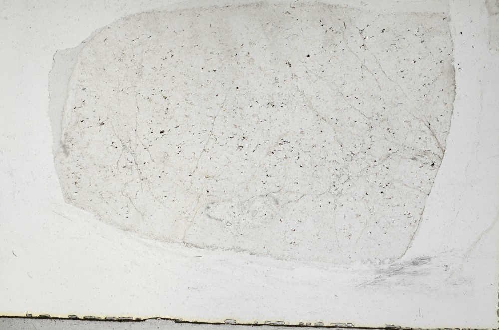 Plane Polarized, S65342