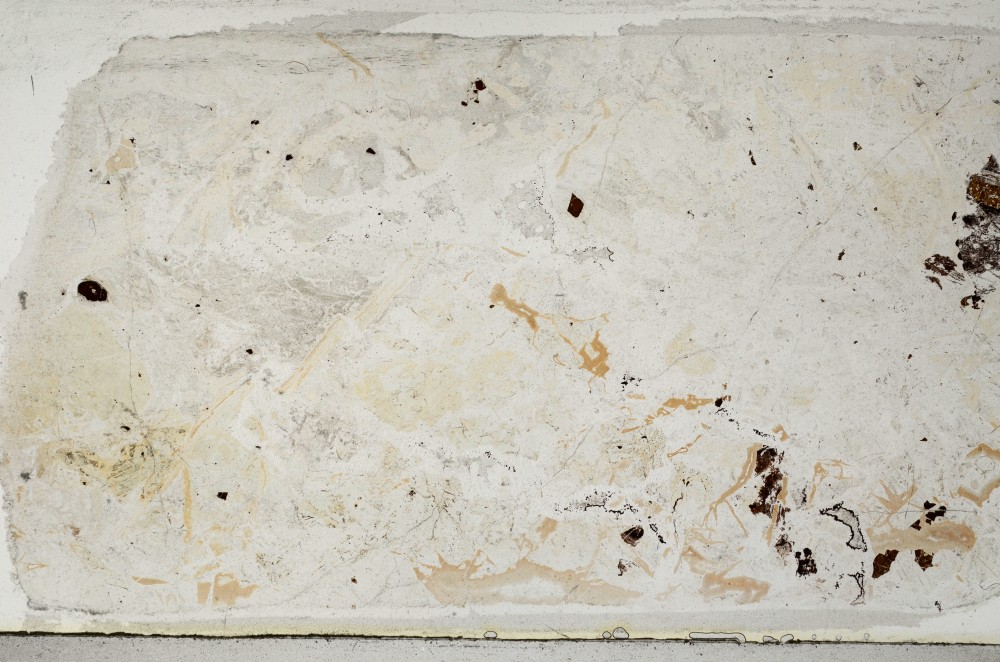 Plane Polarized, S65452