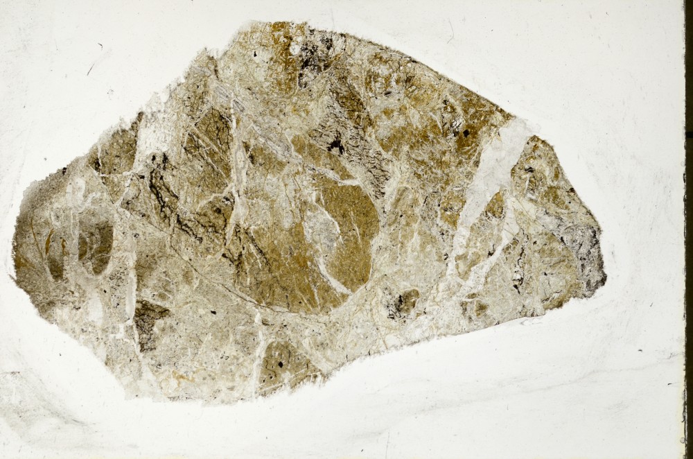 Plane Polarized, S65455