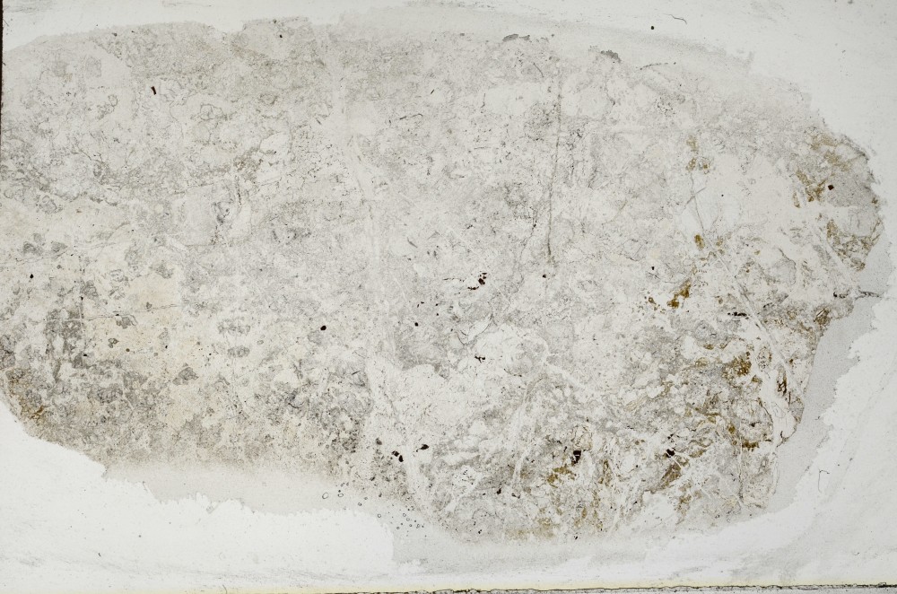 Plane Polarized, S65465