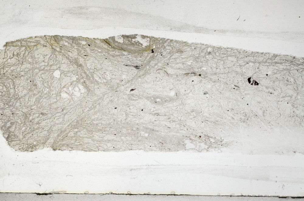 Plane Polarized, S65468