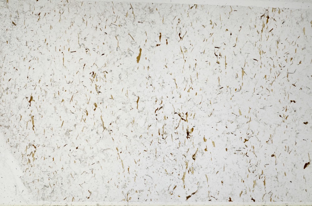 Plane Polarized, S65475