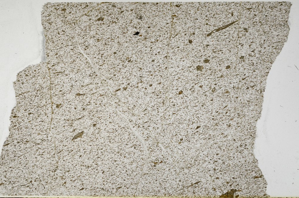 Plane Polarized, S65482