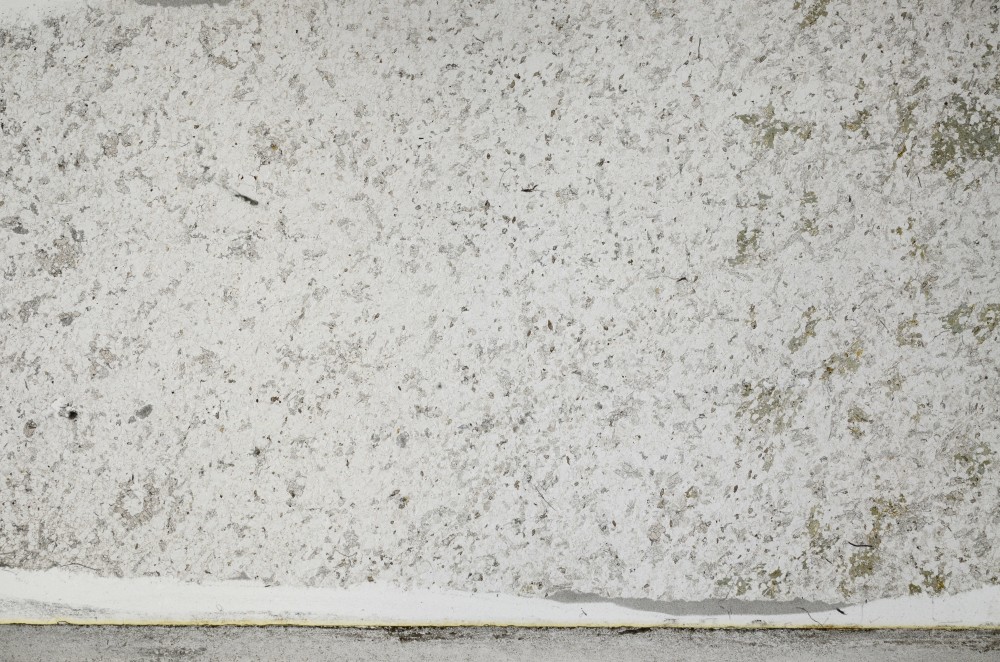 Plane Polarized, S65510