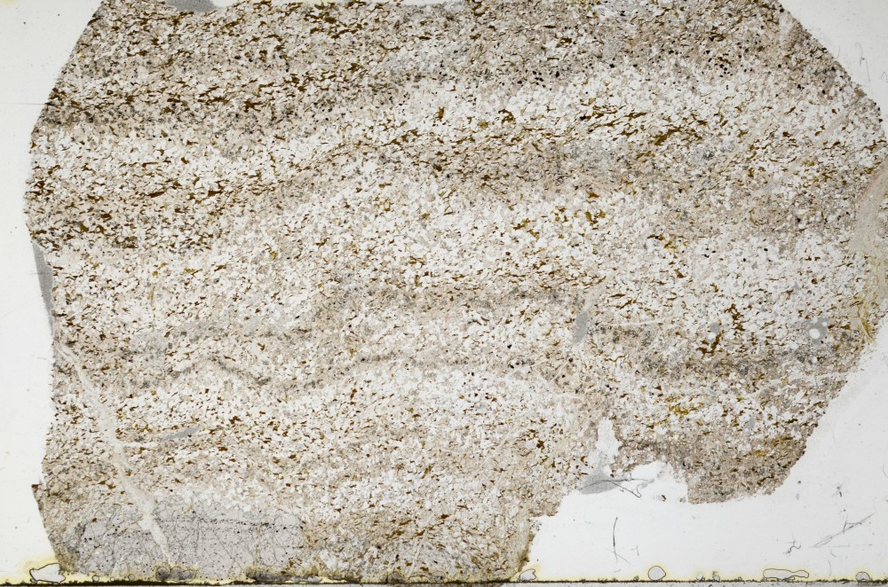 Plane Polarized, S65511