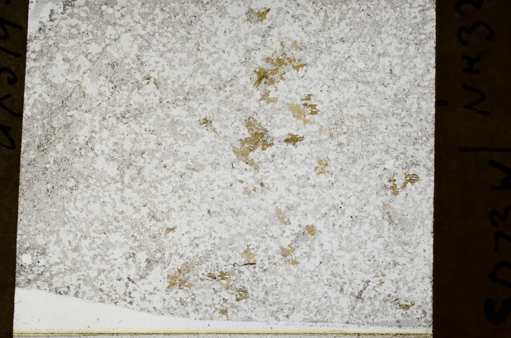 Plane Polarized, S65512