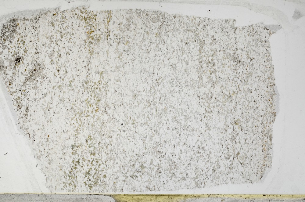 Plane Polarized, S65514