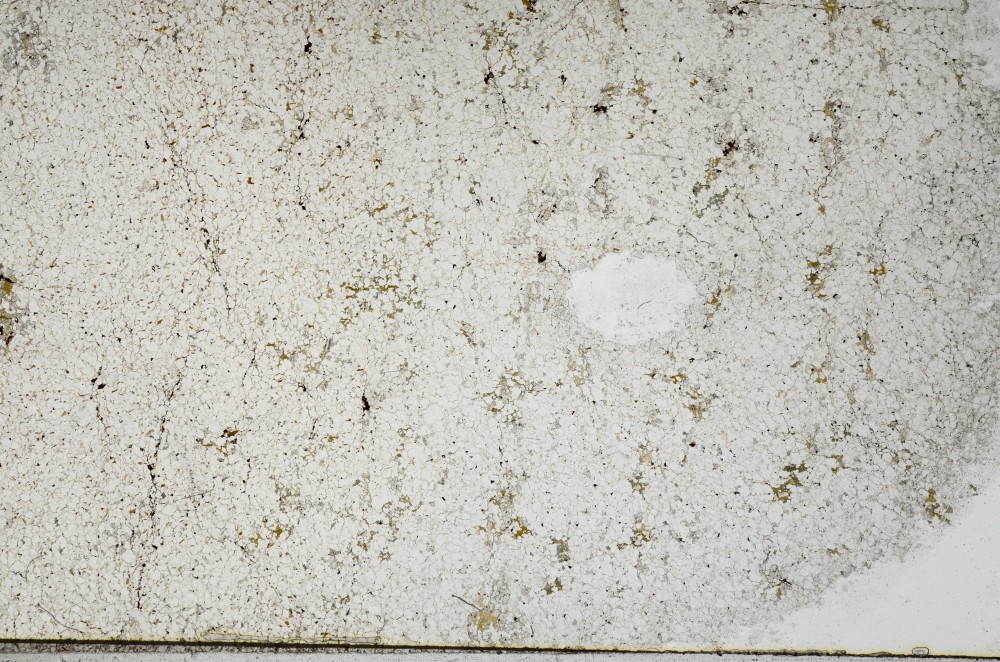 Plane Polarized, S65517