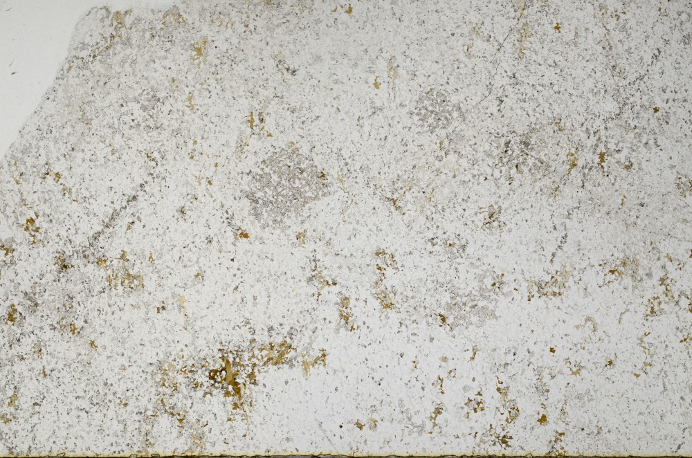 Plane Polarized, S65520