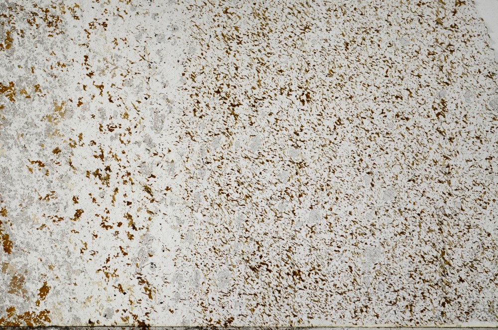 Plane Polarized, S65526