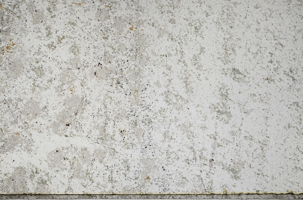 Plane Polarized, S65541