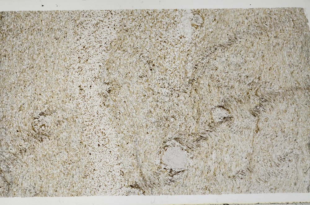 Plane Polarized, S65542