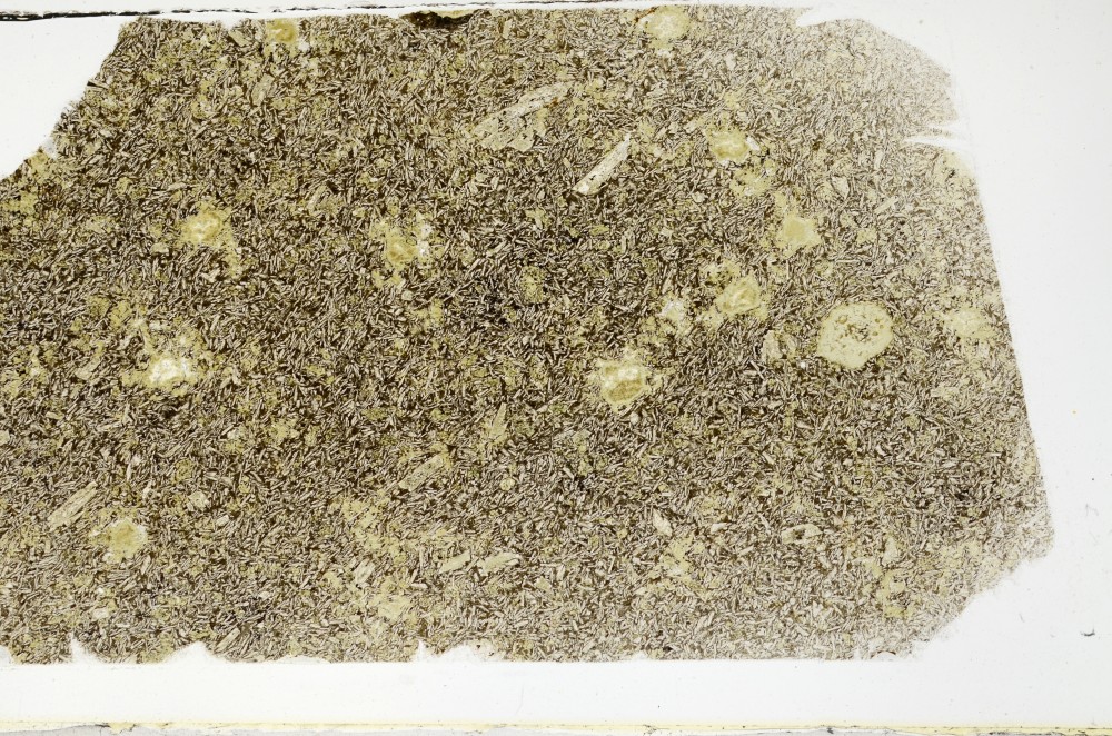 Plane Polarized, S65556