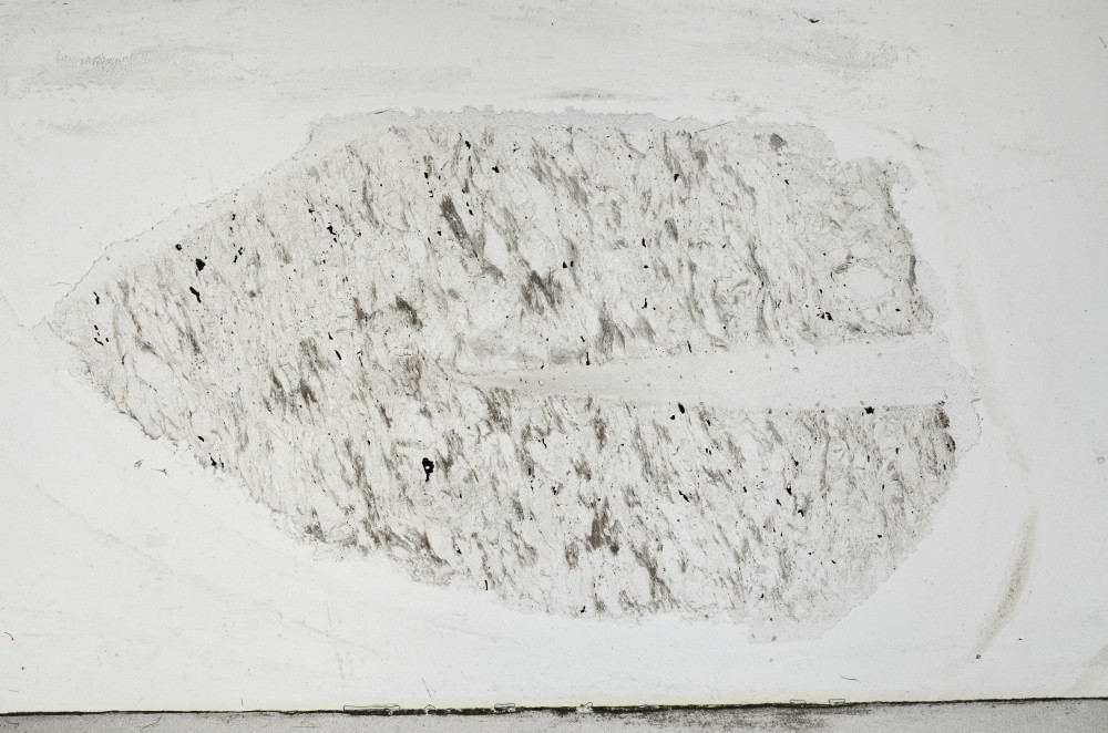 Plane Polarized, S65589