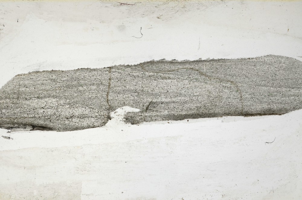 Plane Polarized, S65629