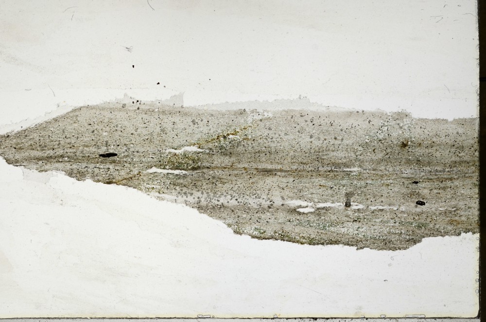 Plane Polarized, S65631