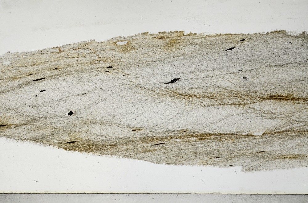 Plane Polarized, S65632