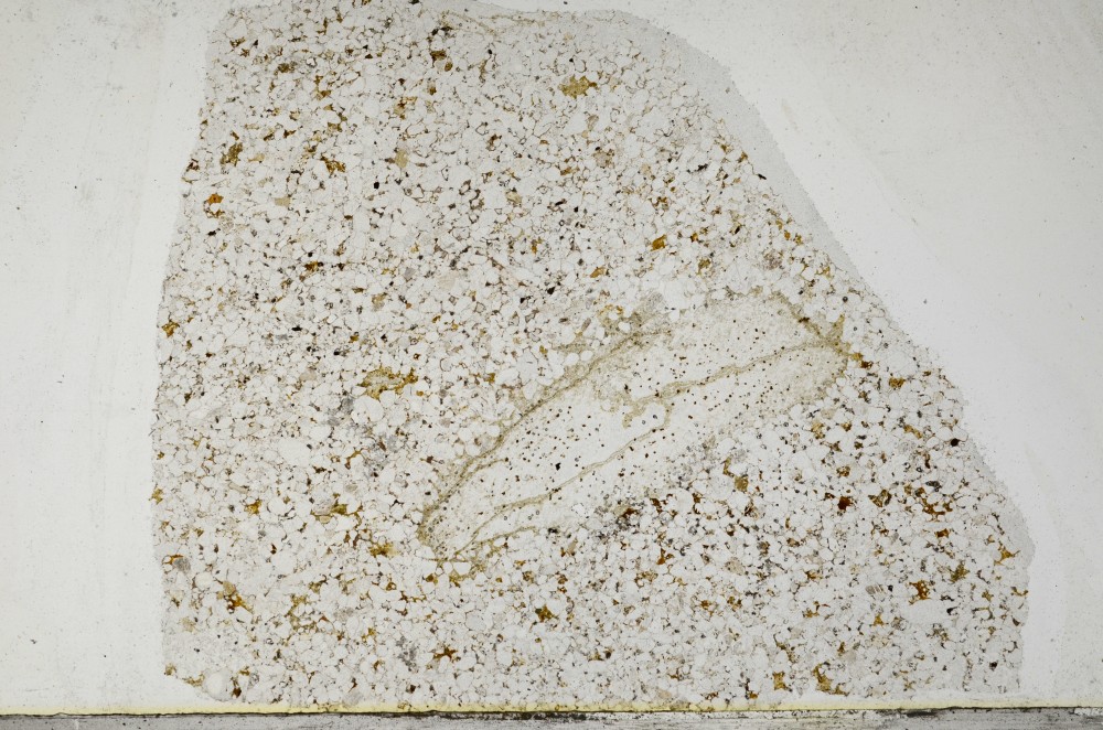 Plane Polarized, S65674