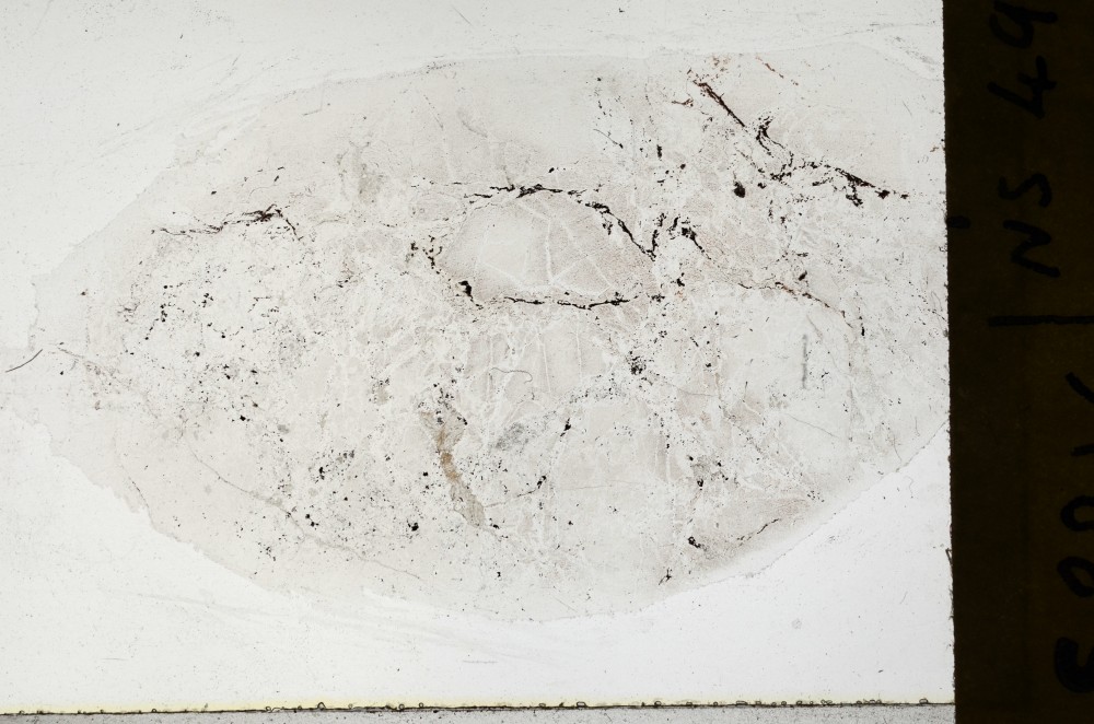 Plane Polarized, S65680