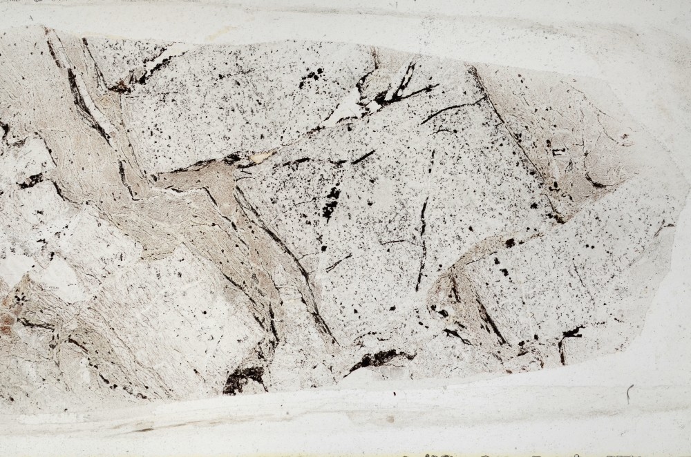 Plane Polarized, S65681