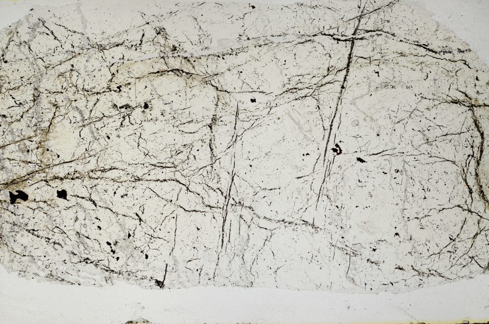 Plane Polarized, S65683