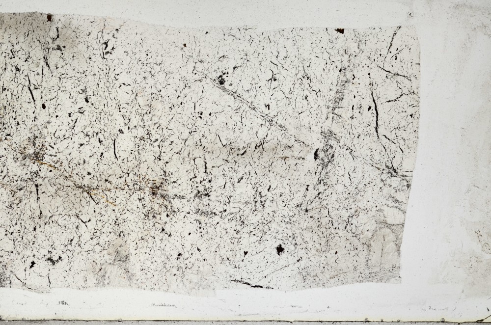 Plane Polarized, S65684