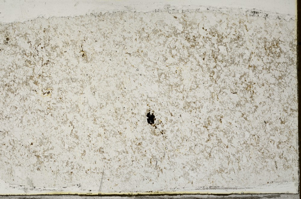 Plane Polarized, S65714