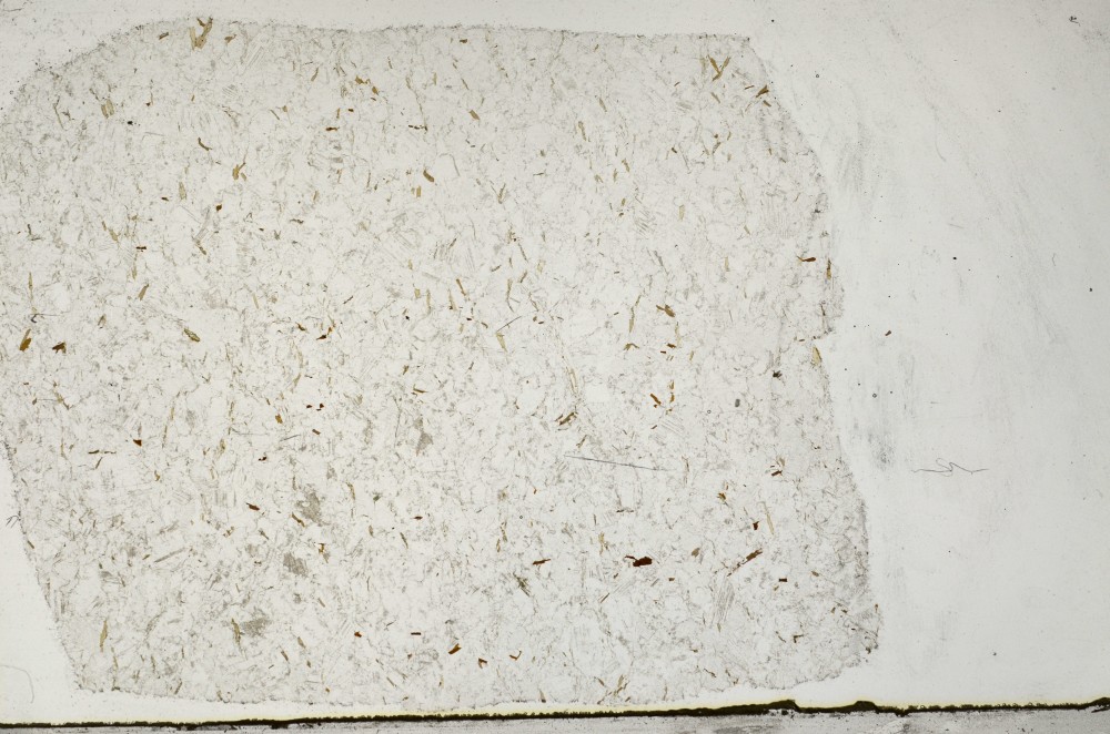 Plane Polarized, S65716