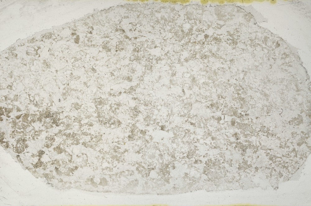 Plane Polarized, S65717