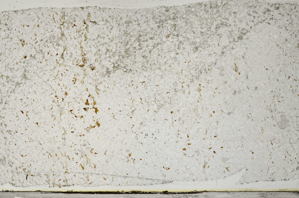 Plane Polarized, S65723