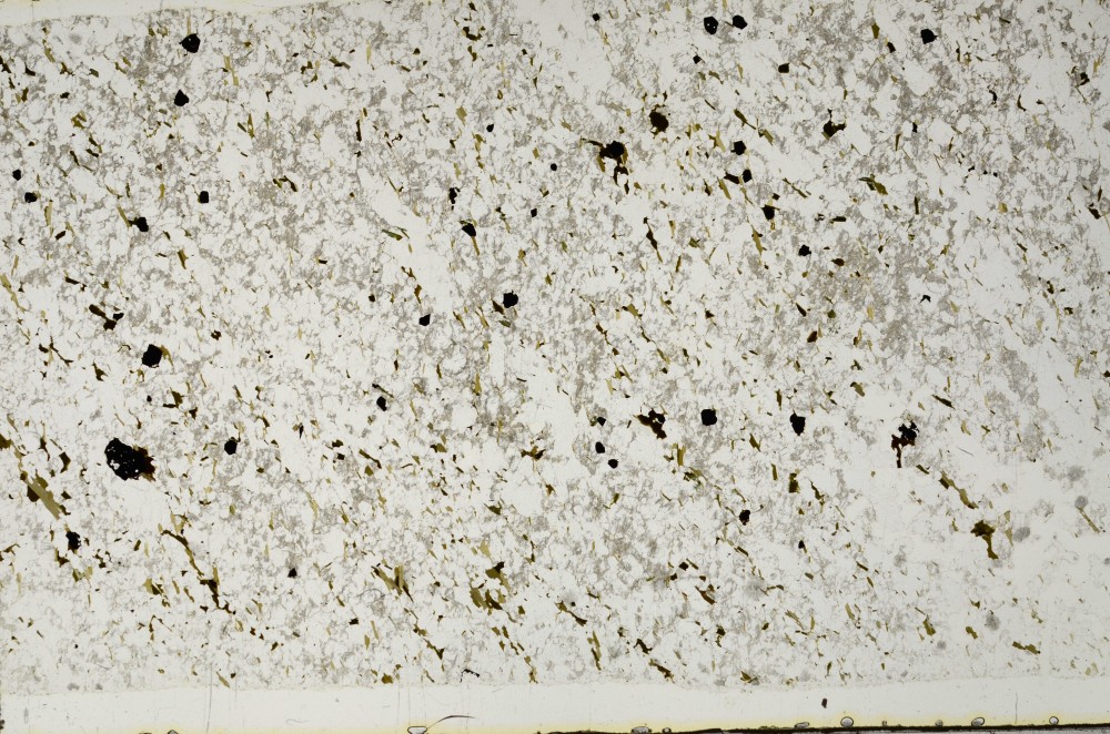Plane Polarized, S65742