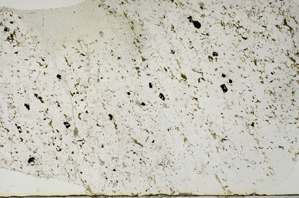 Plane Polarized, S65744