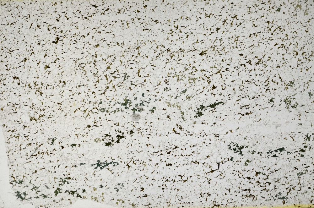 Plane Polarized, S65766