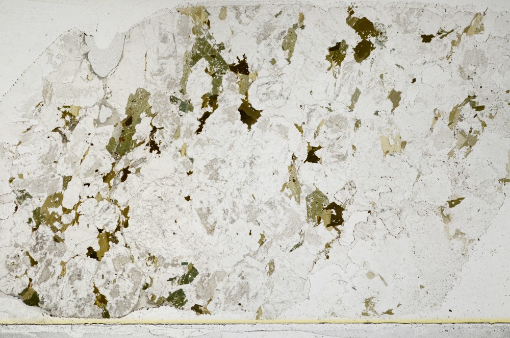 Plane Polarized, S65785