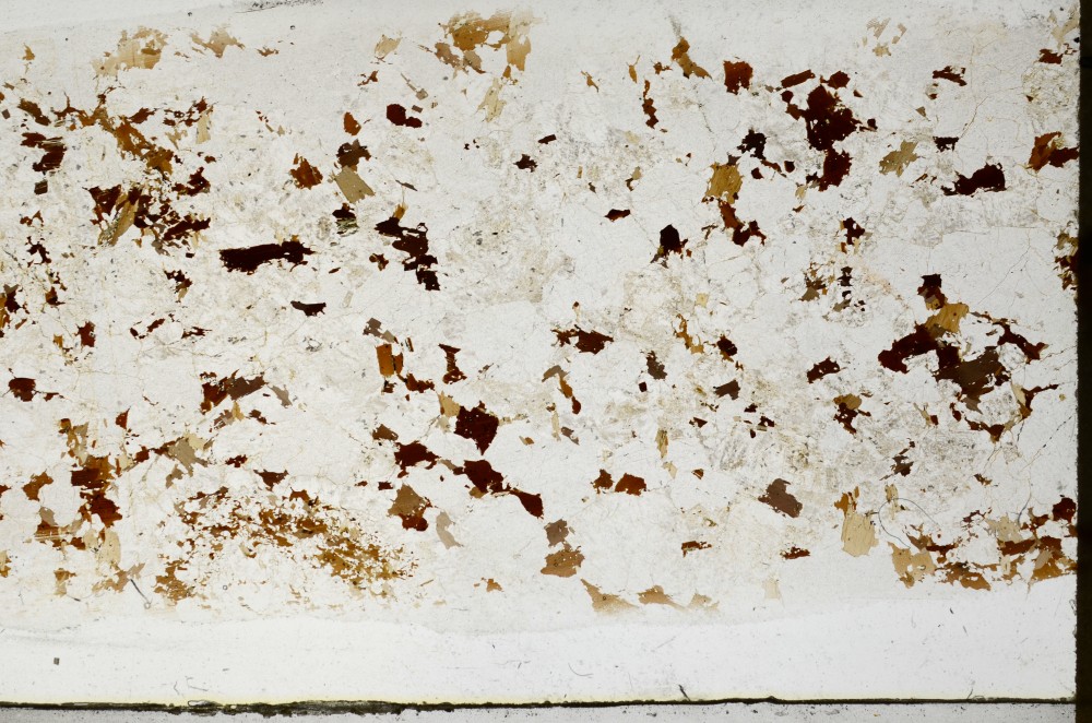 Plane Polarized, S65786