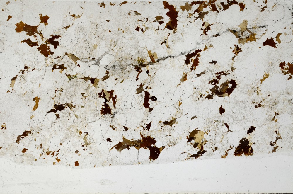 Plane Polarized, S65795
