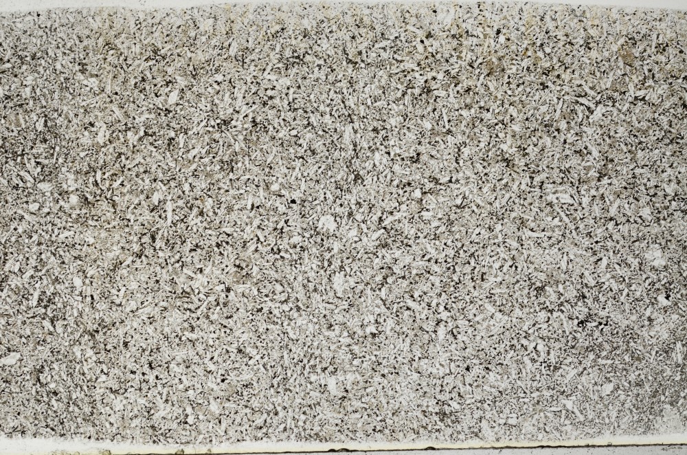 Plane Polarized, S65800