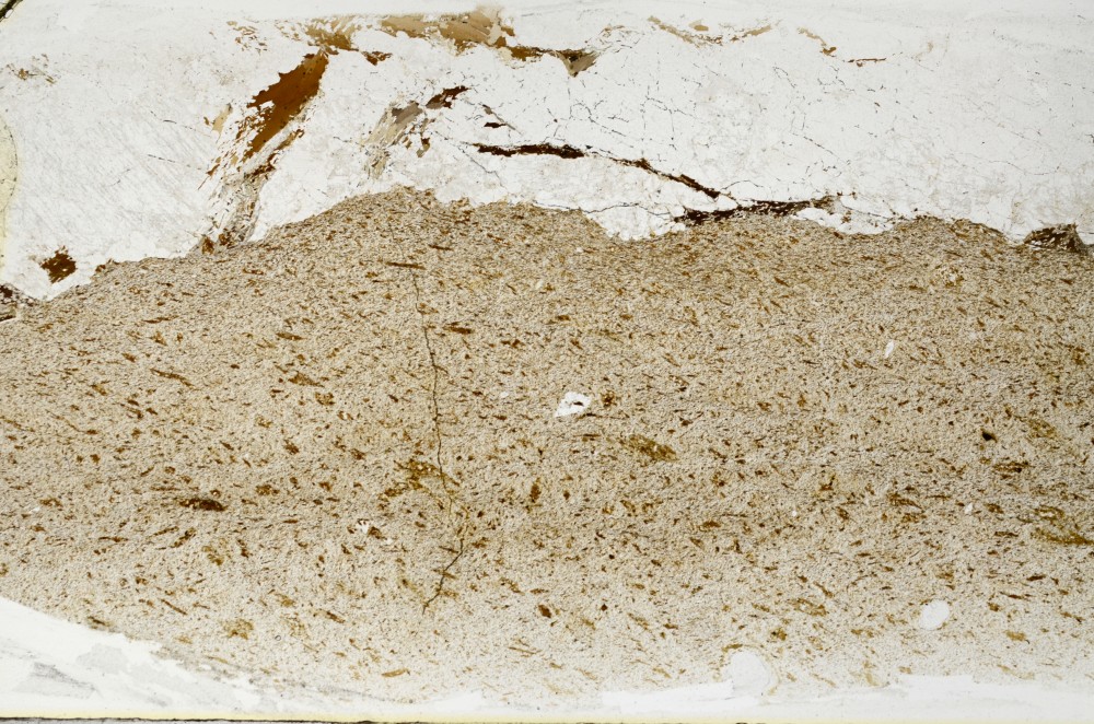 Plane Polarized, S65804