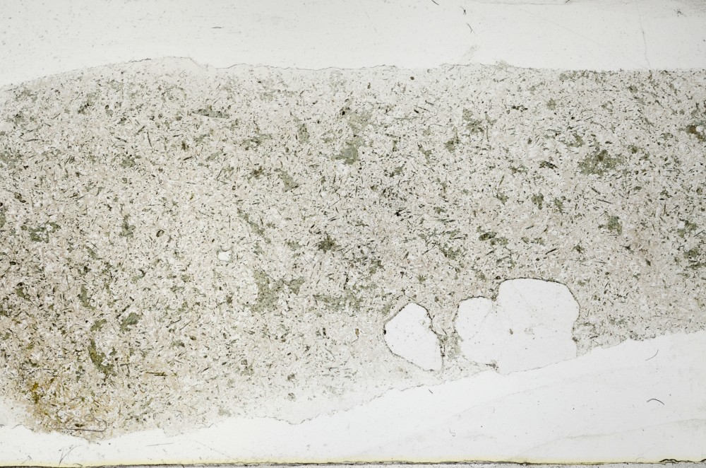 Plane Polarized, S65805