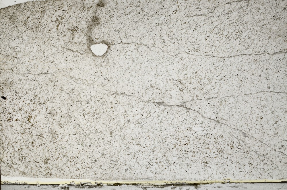 Plane Polarized, S65818