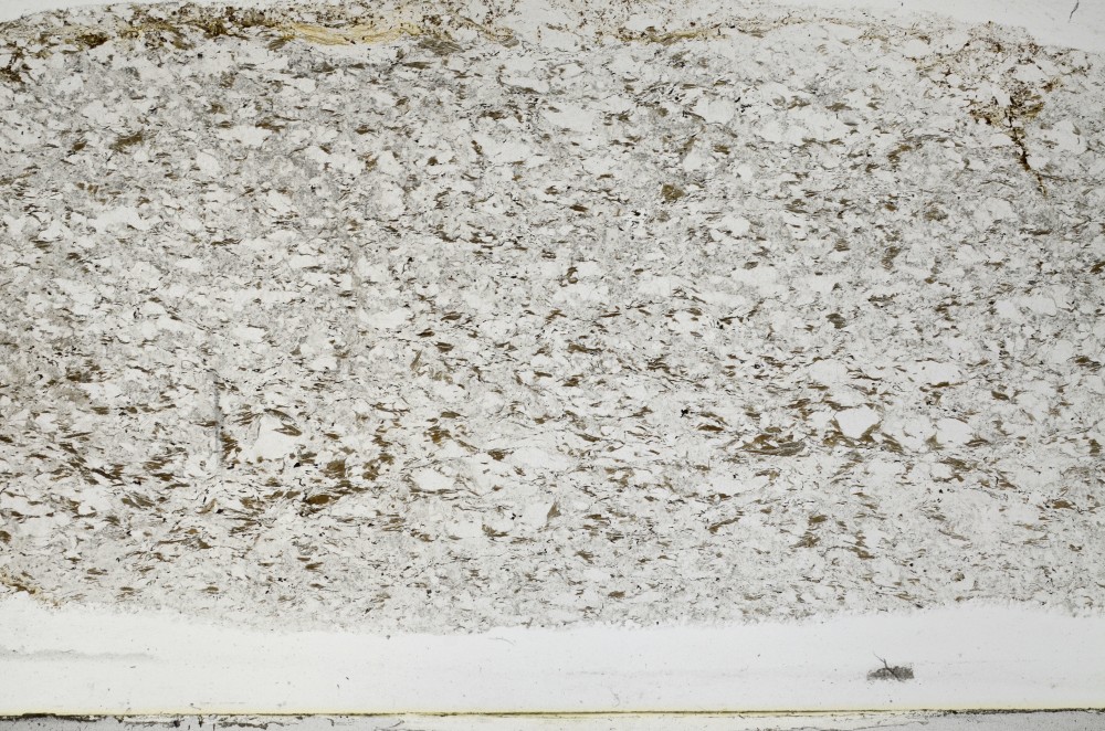 Plane Polarized, S65827