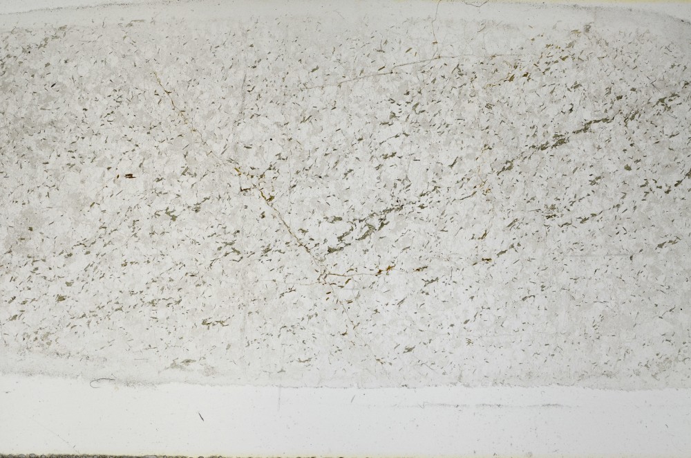 Plane Polarized, S65834
