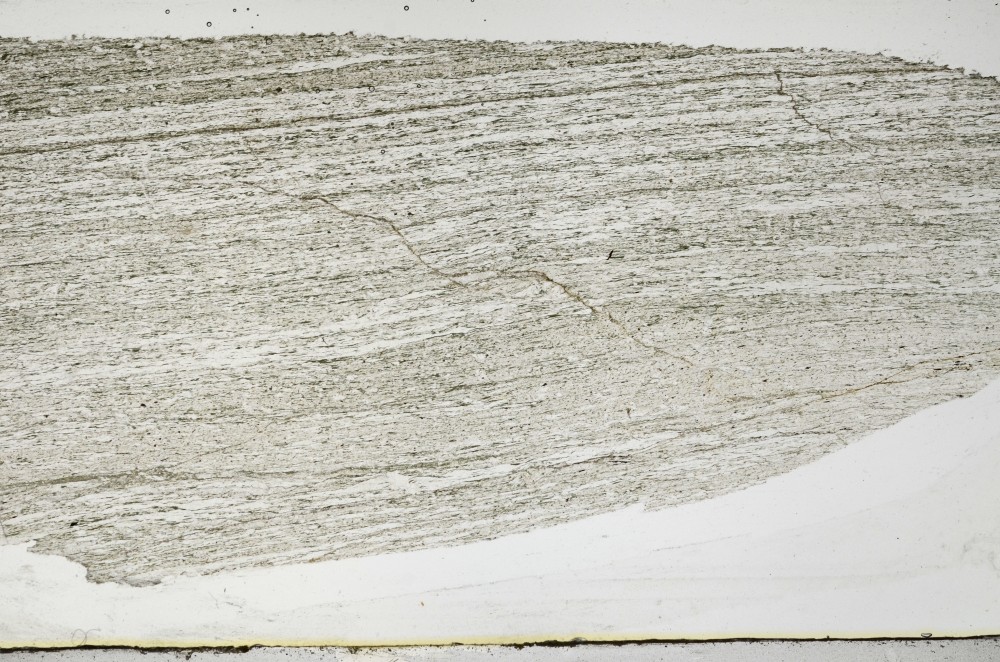 Plane Polarized, S65838