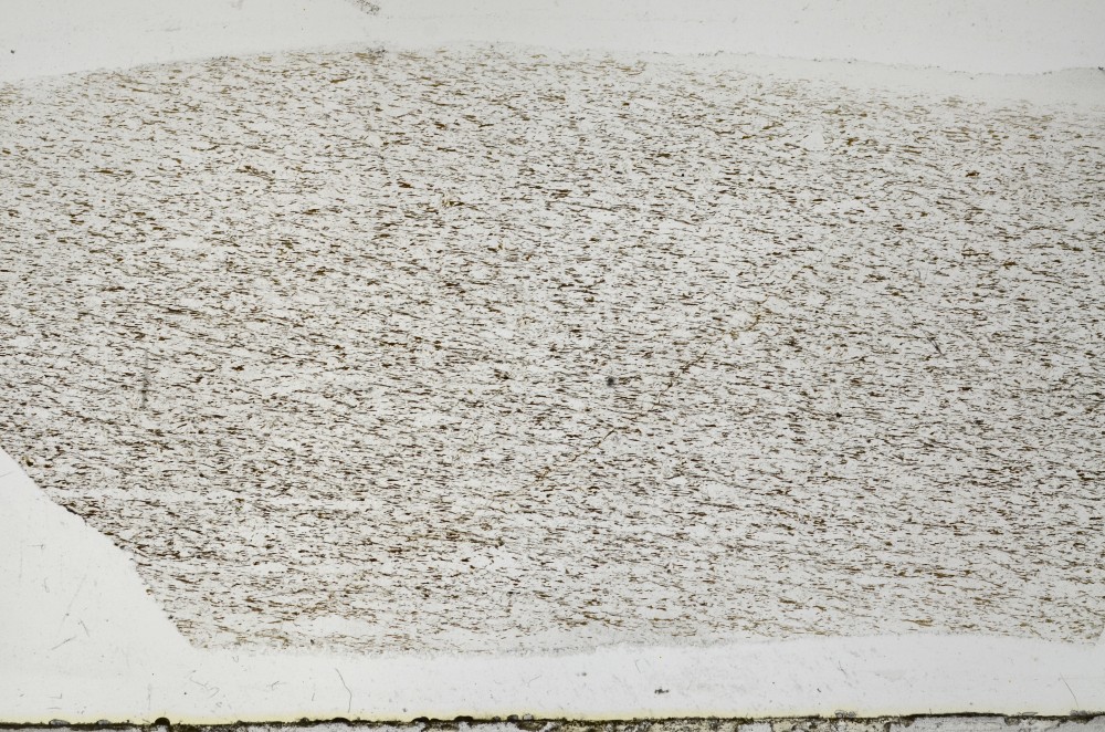 Plane Polarized, S65840