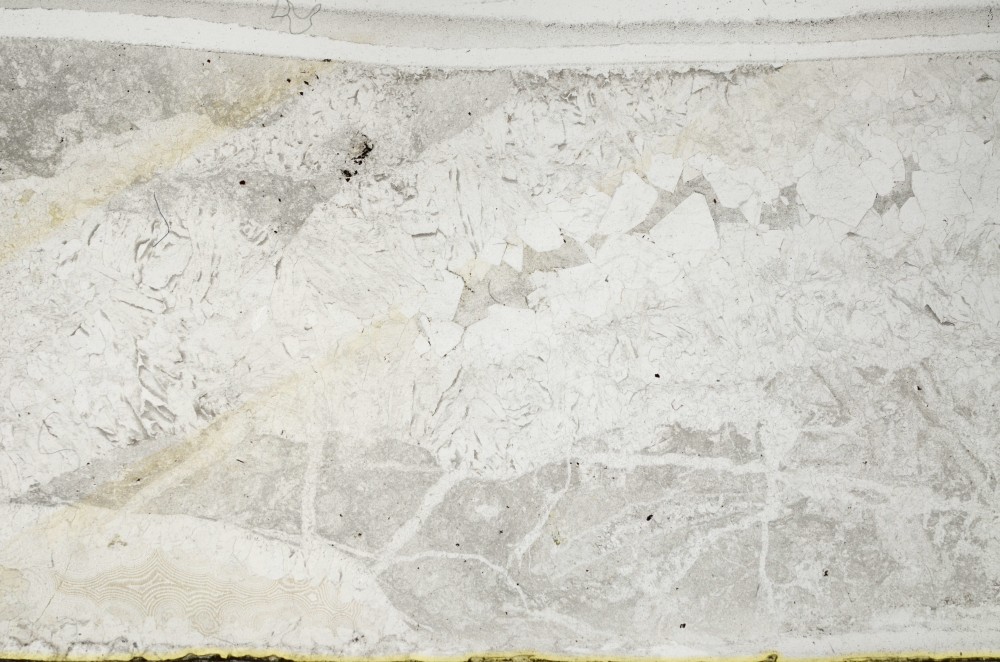 Plane Polarized, S65907