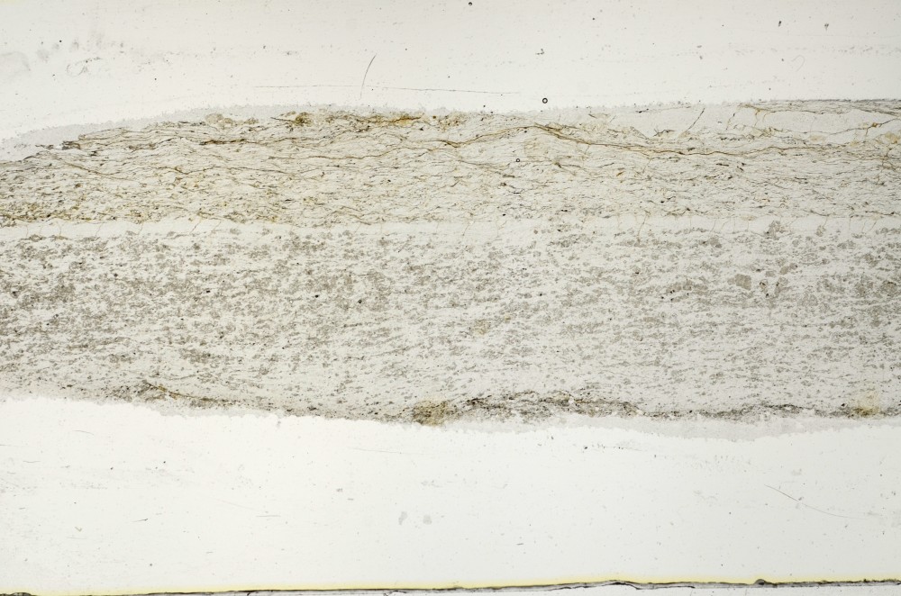 Plane Polarized, S65959