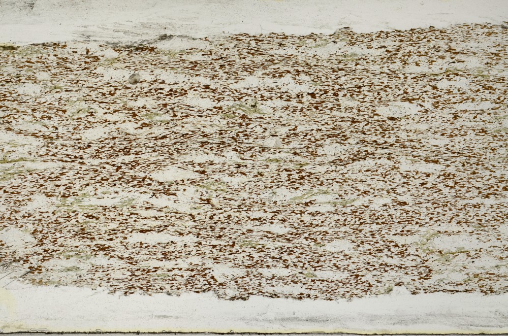 Plane Polarized, S65960