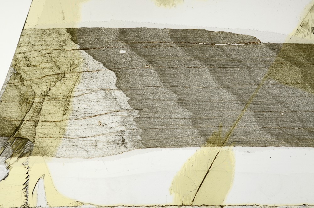 Plane Polarized, S65978