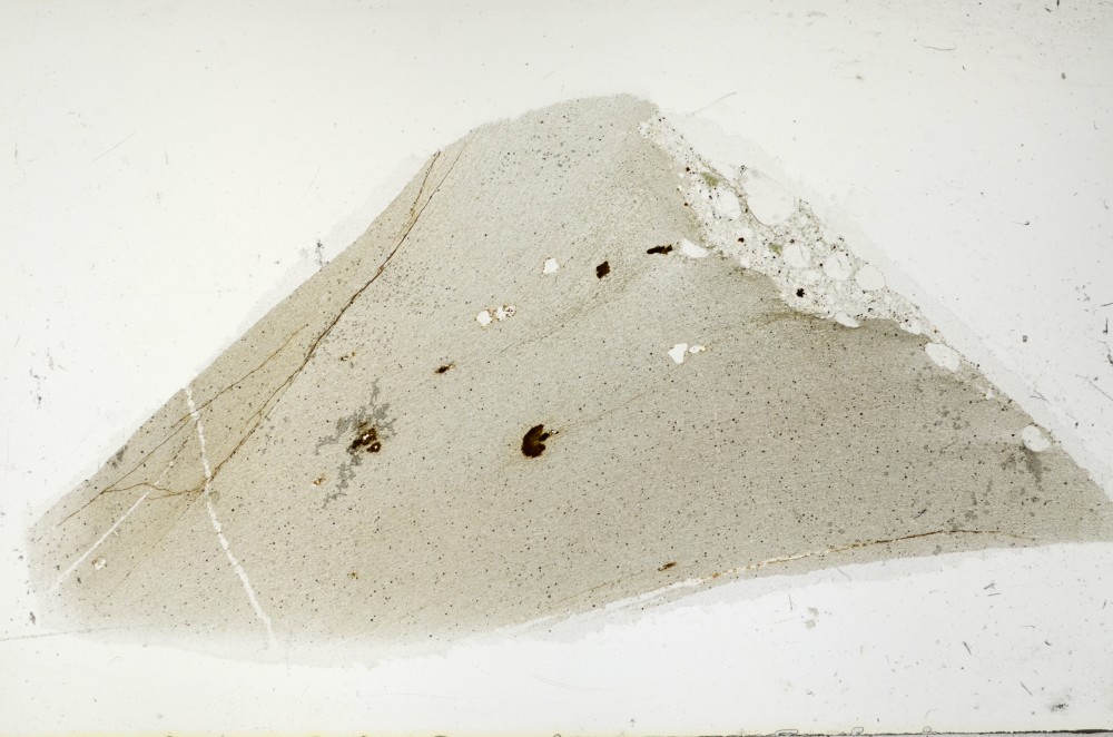 Plane Polarized, S65986/A