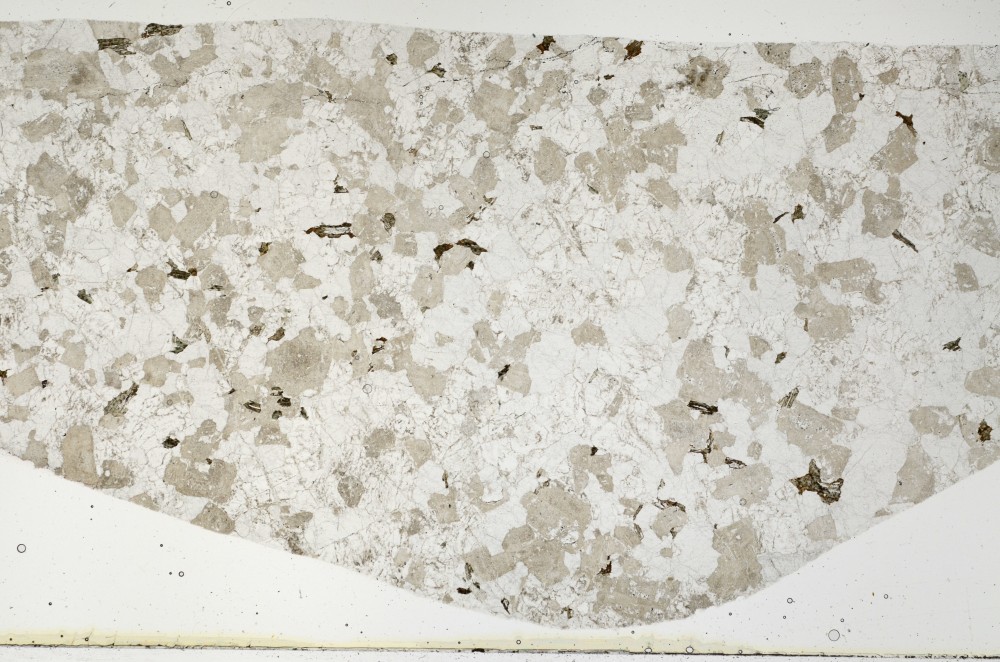 Plane Polarized, S66008/A